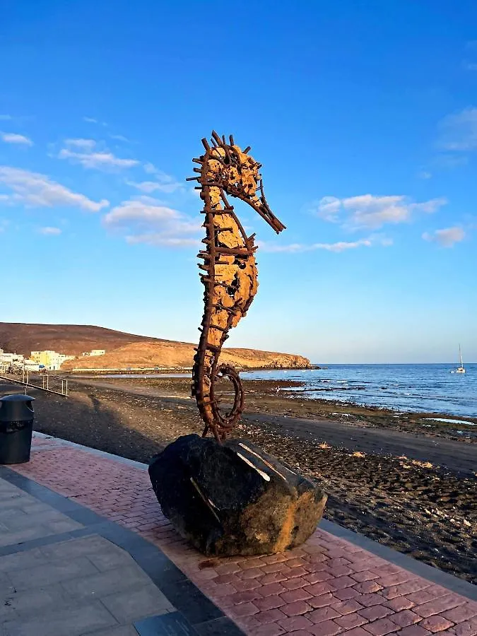 דירות טרחלחו Cactus Del Mar